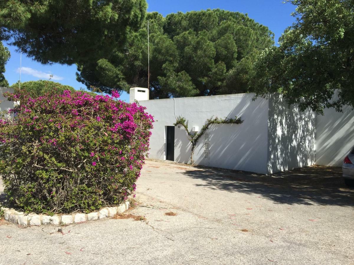 Holiday home Moradia Muito Acolhedora