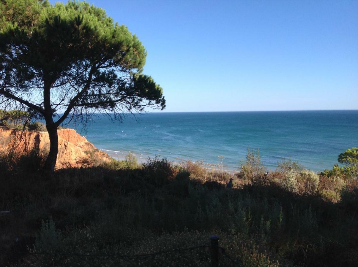 Sailing Studio Acoteias *