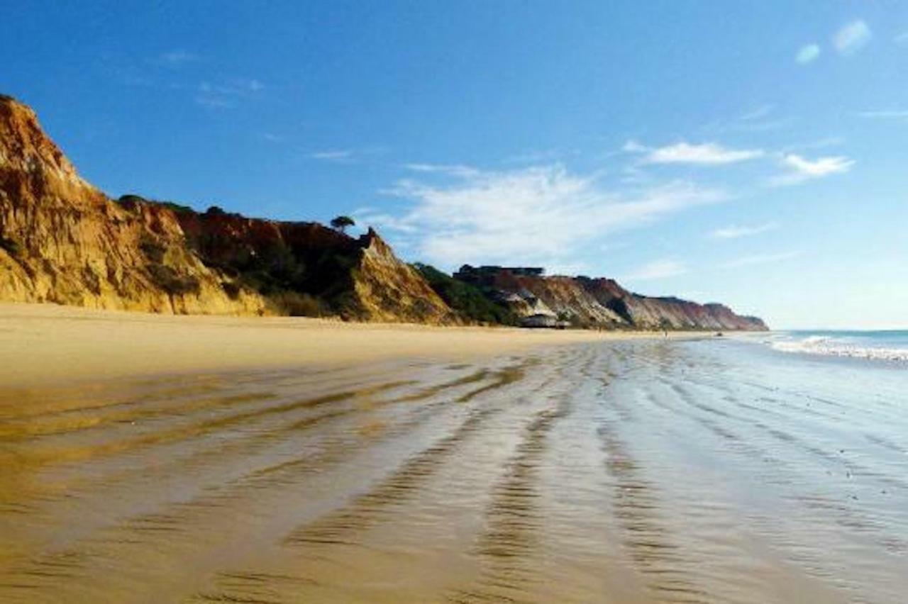 Apartment Magnifique A 400 Metre Des Plages