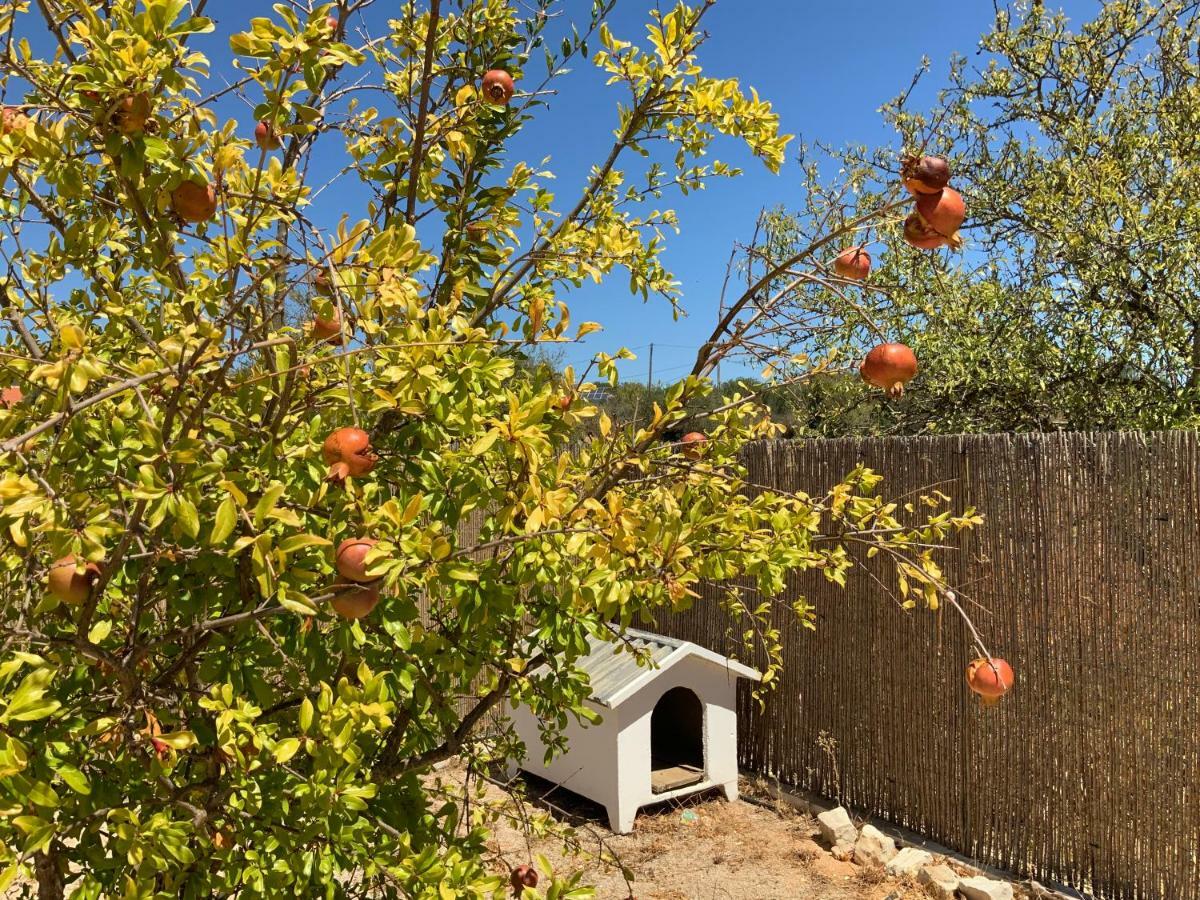 Holiday home Alfarrobeiras Albufeira