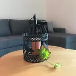 Colorful Cozy Apartment View