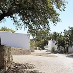 Vilanova Seven