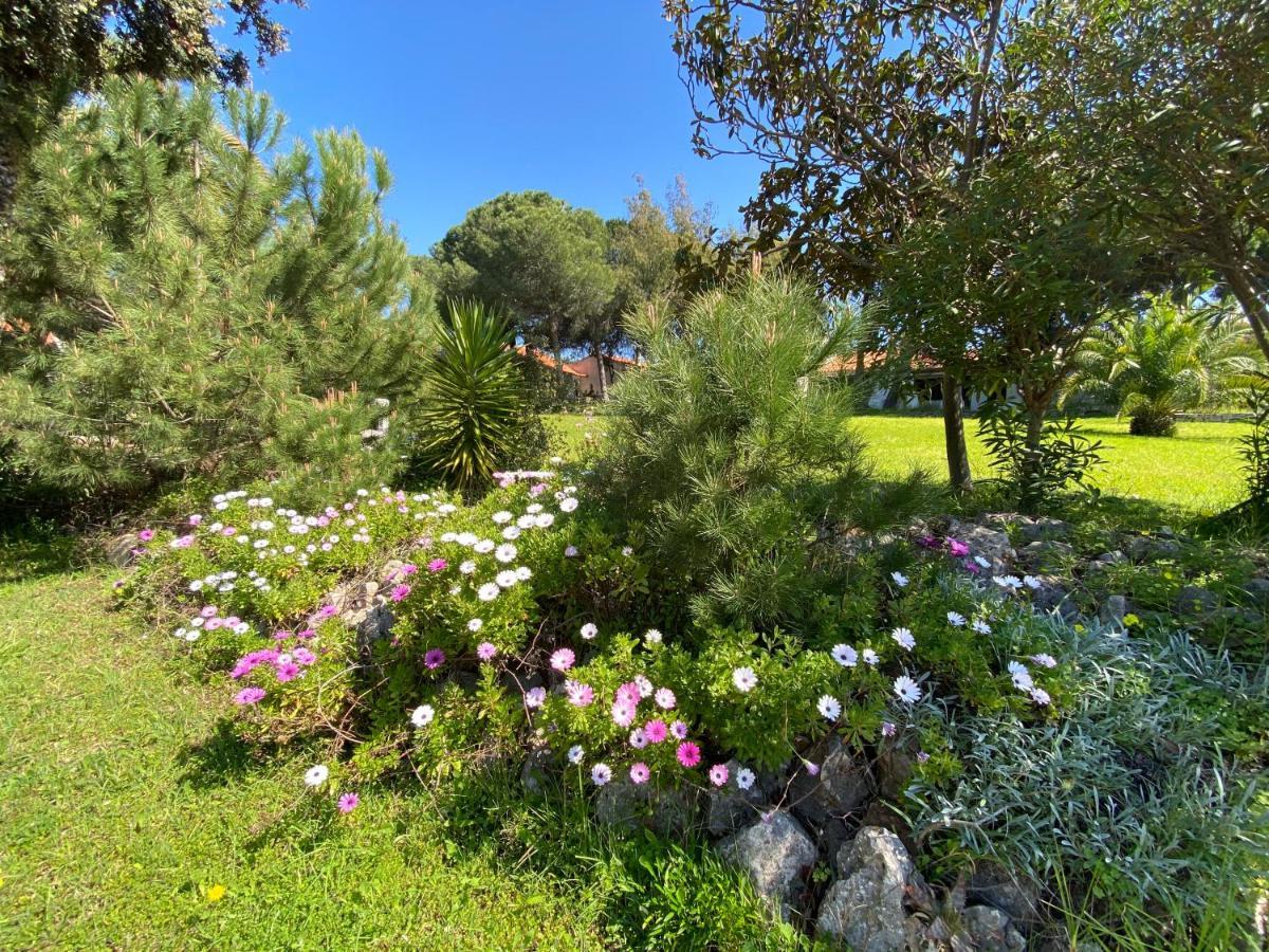 Da Oura Villa Albufeira