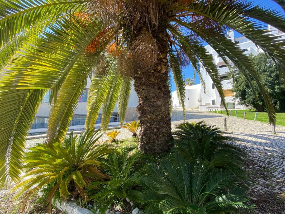 Villa Da Oura *