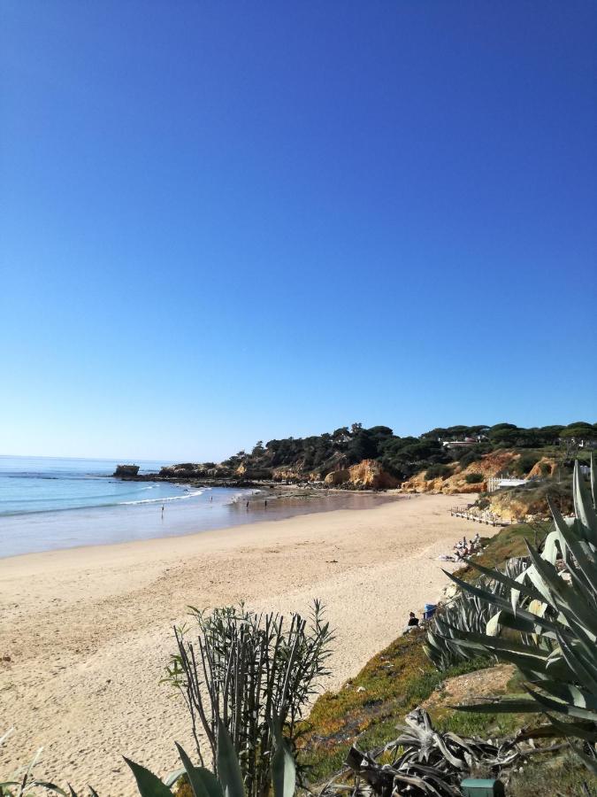 Apartment Jardins De Santa Eulalia -