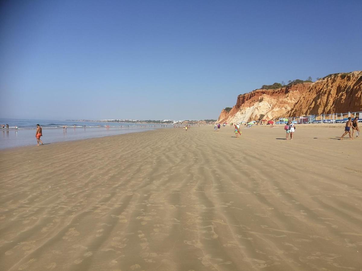 Casa Do Algarve *