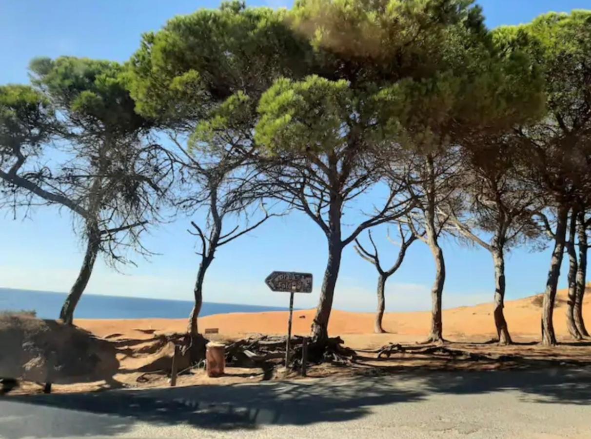 Casa de férias Casa Da Bertha Albufeira