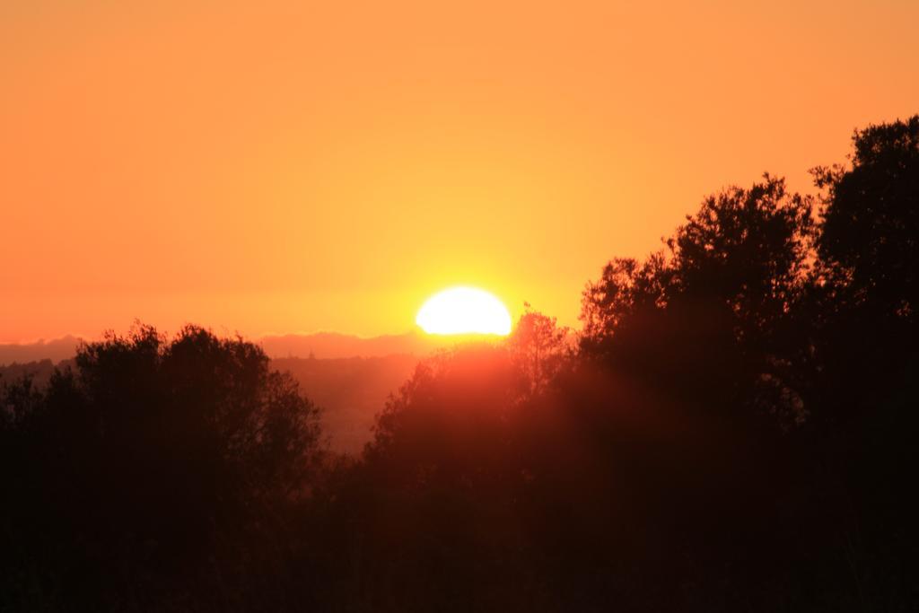 Sunshine Gasthuis *