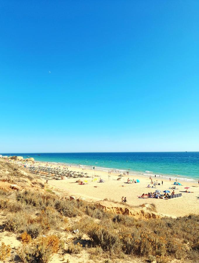 Apartamento Tropicana One Bedroom Flat T1 With Garden Close To 8 Beaches *
