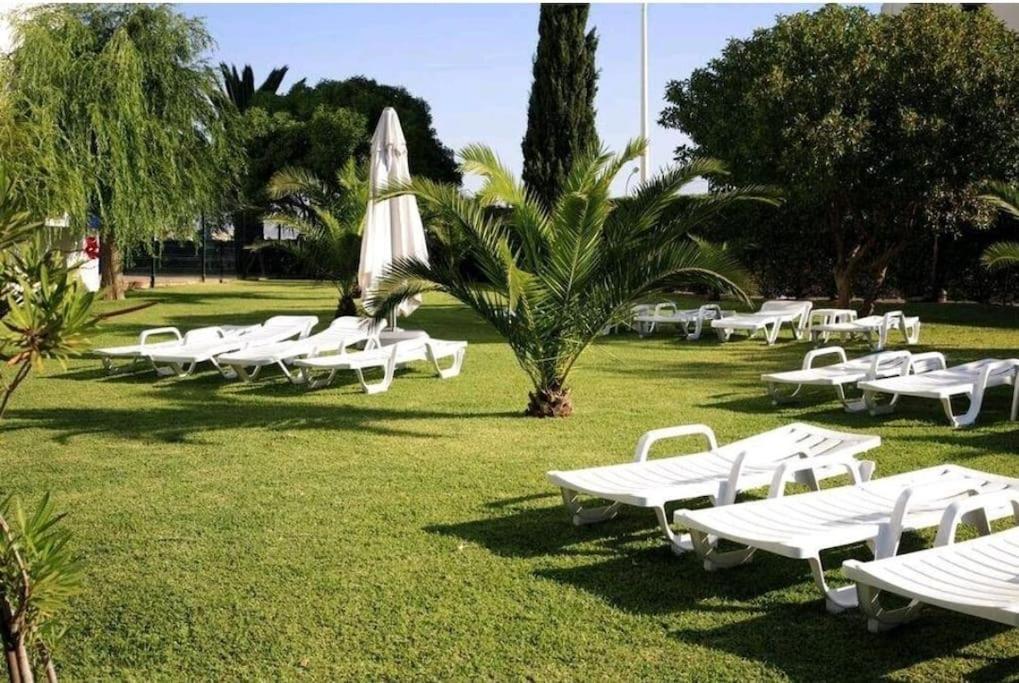 Apartment Spot Com Piscinas Exteriores E Interior! *