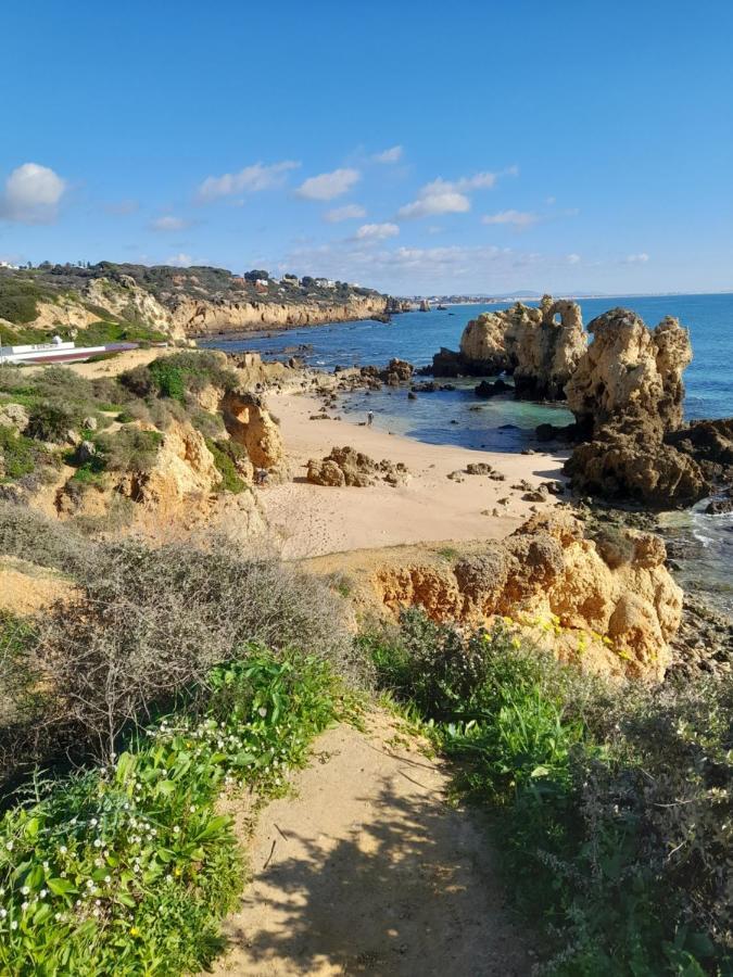 Tropicana One Bedroom Flat T1 With Garden Close To 8 Beaches *