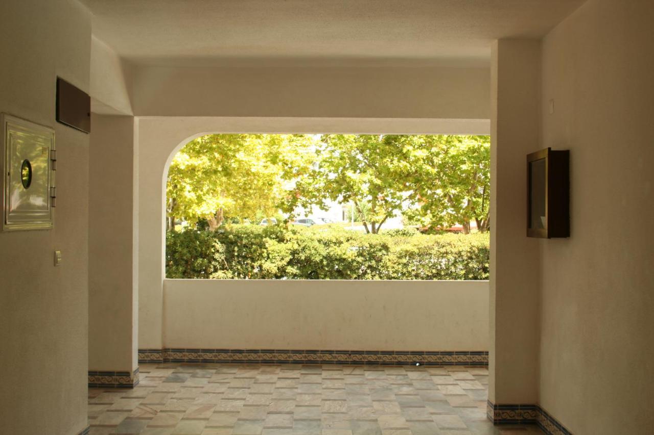 Apartment - Tranquilidade Junto A E Ao Centro!