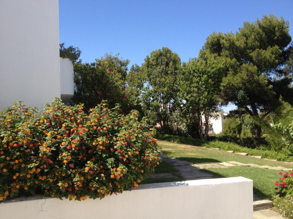 Cheerfulway Alto Do Moinho 3* Albufeira