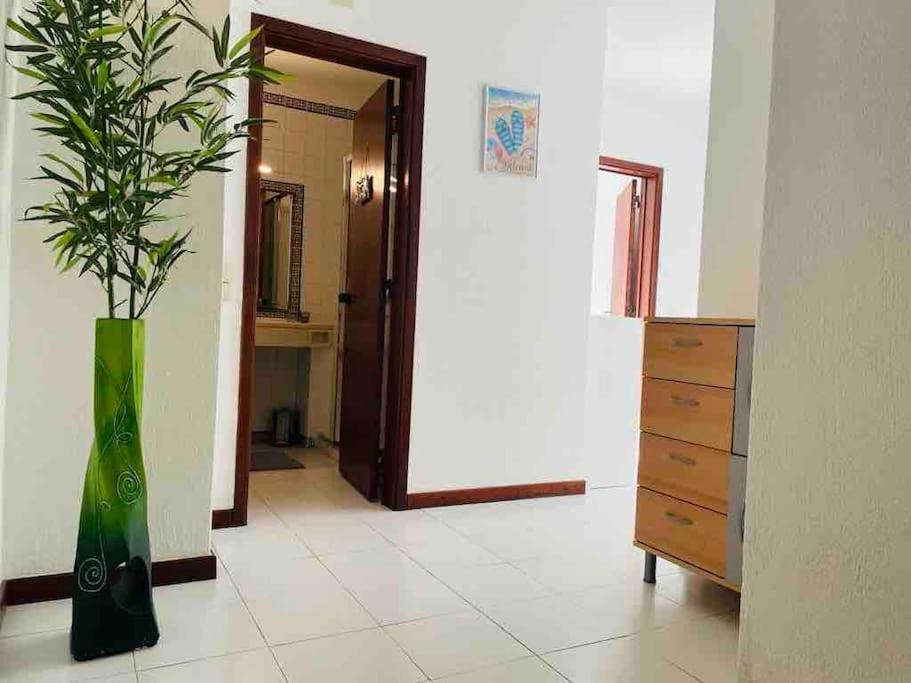 Apartment House т1 Bella Vista