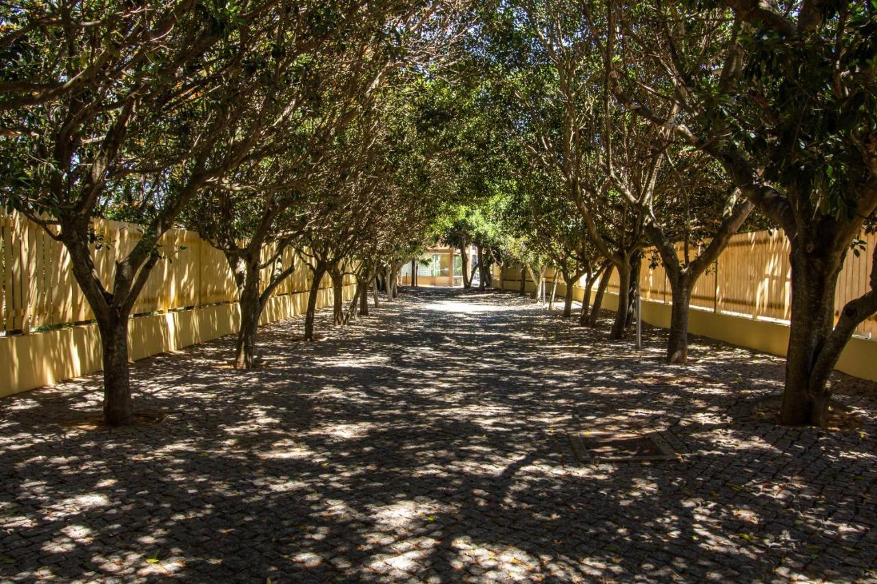 Barracuda A14 Apartment *