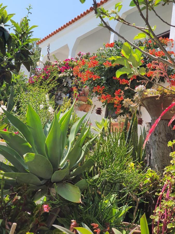 Villa Marrachinho Albufeira