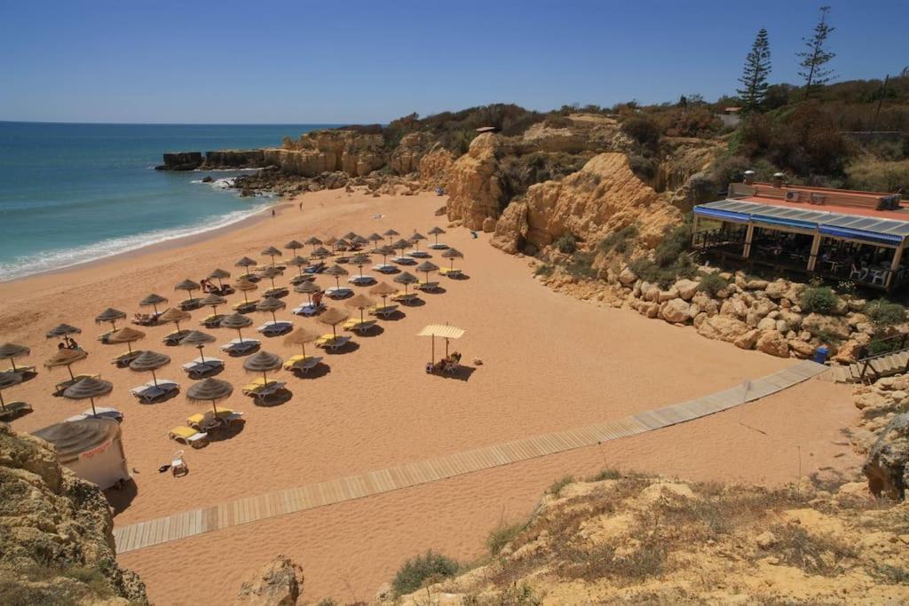 Superbe Paradis Dans Les Jardins De La Marina Apartamento