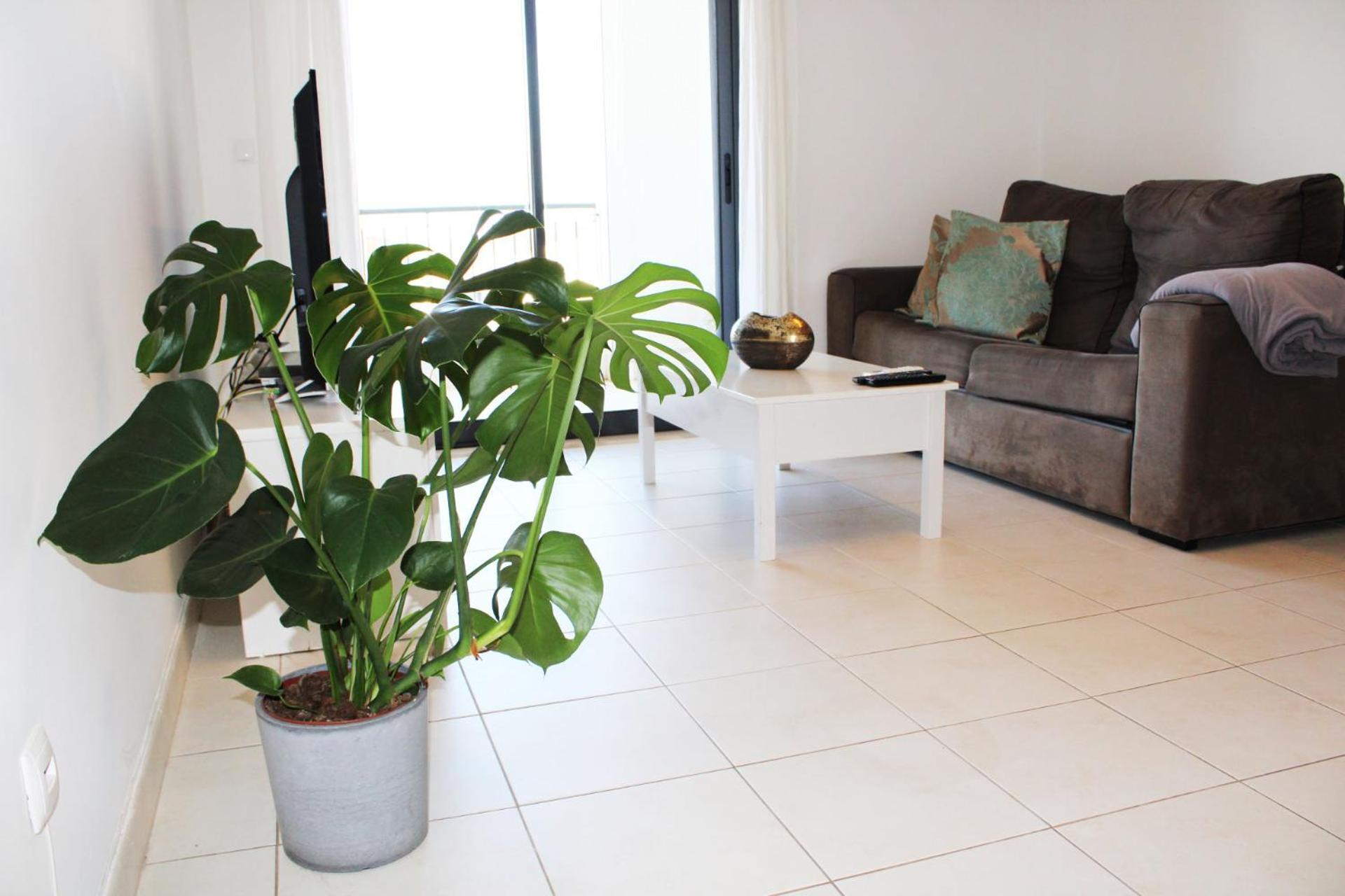 Apartment Apartment With Terrace Albufeira Olhos De Agua