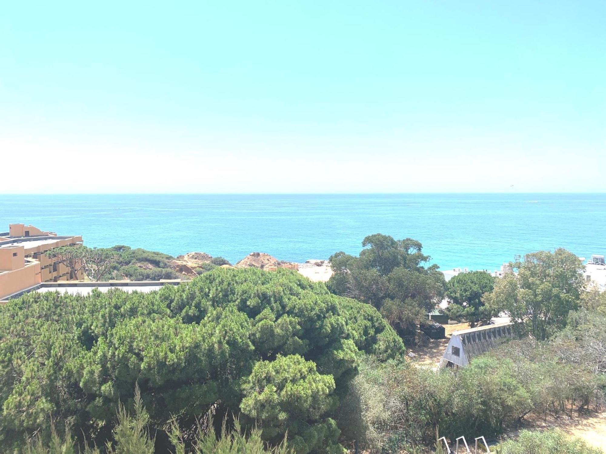 Barracuda A14 Apartment *