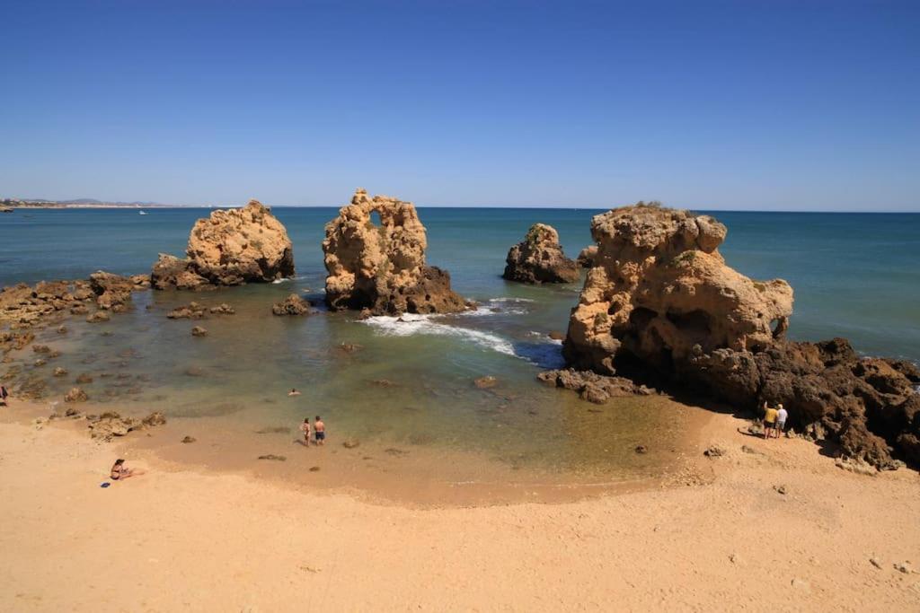 Superbe Paradis Dans Les Jardins De La Marina Albufeira