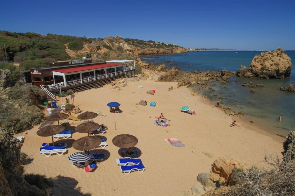 Superbe Paradis Dans Les Jardins De La Marina Apartamento