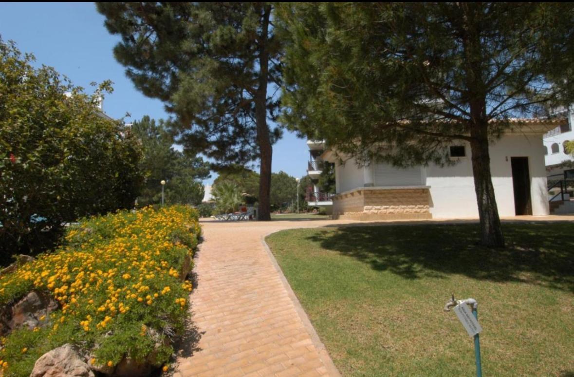 Apartment Pine Sun Park Albufeira