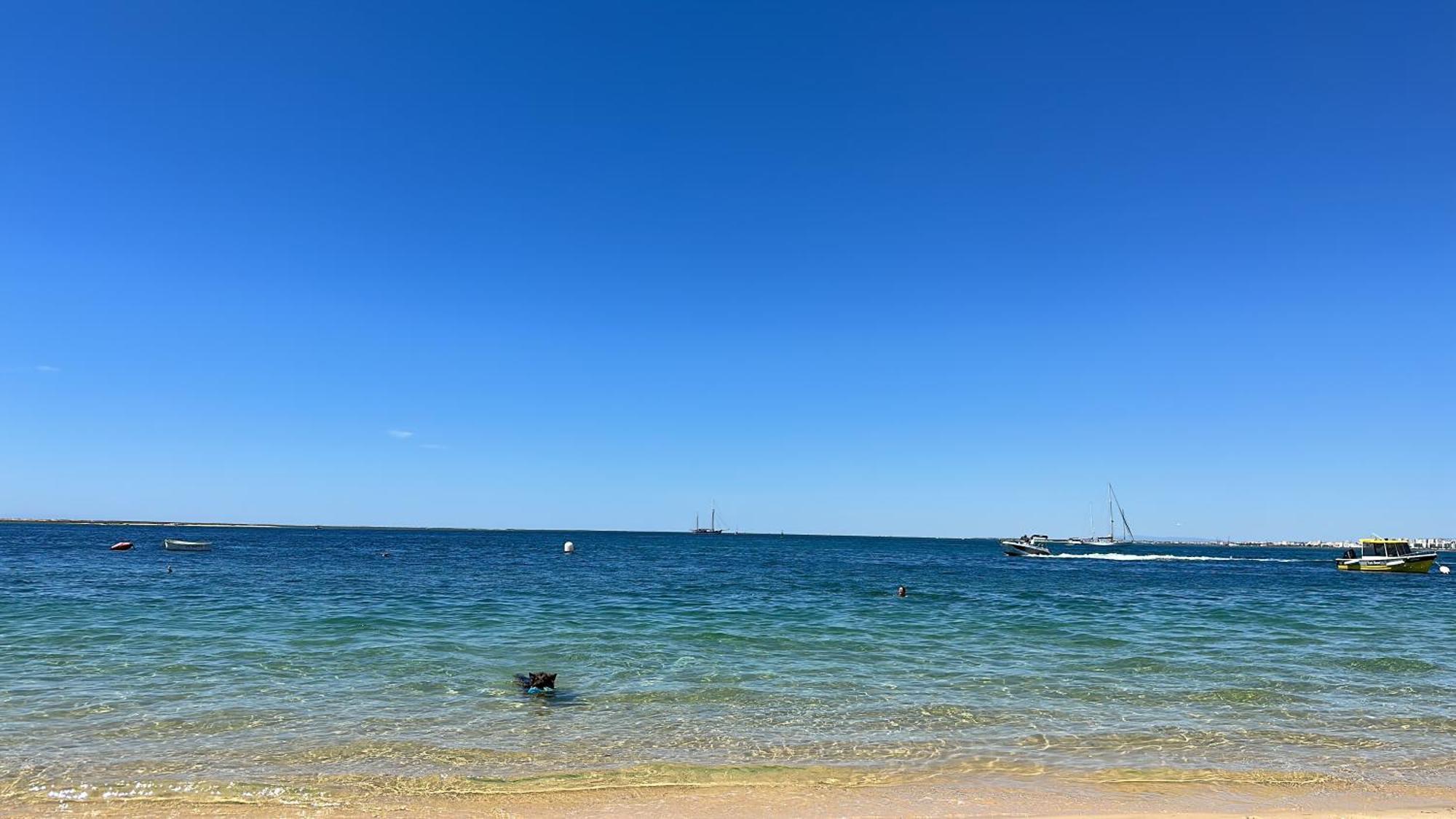 Albufeira,4 Pessoas, Com Wi-fi E A 15m A Pe Da Apartment Albufeira