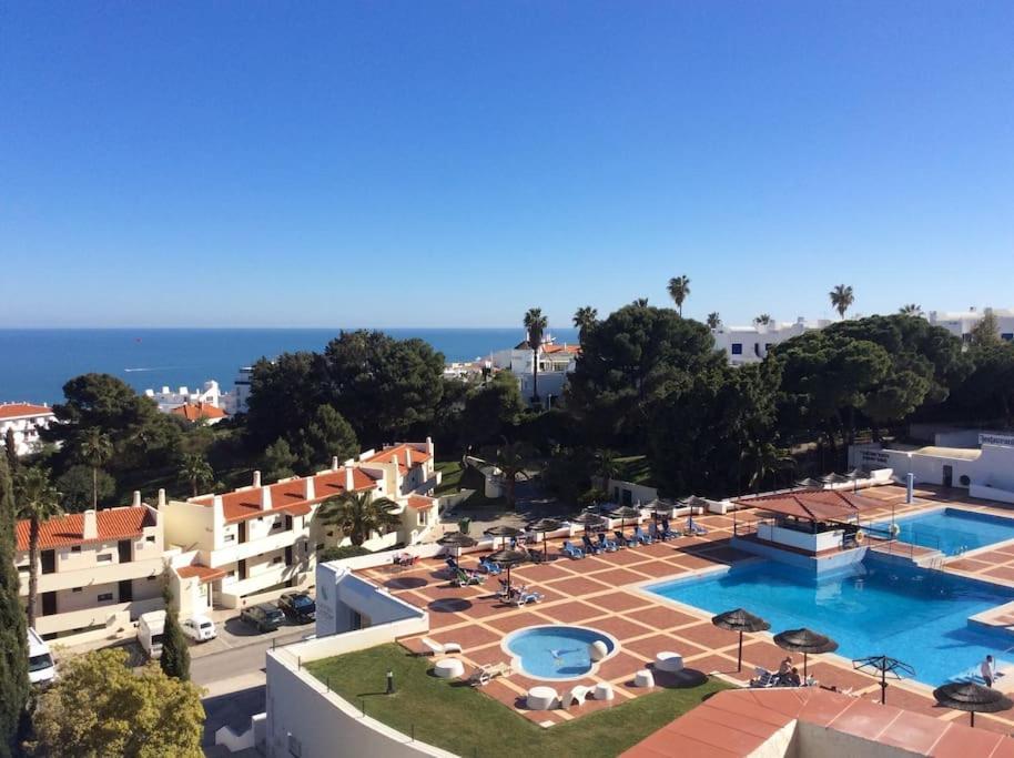 Apartment Air Conditioned 1 Bedroom Apt With Wi-fi & Patio. *