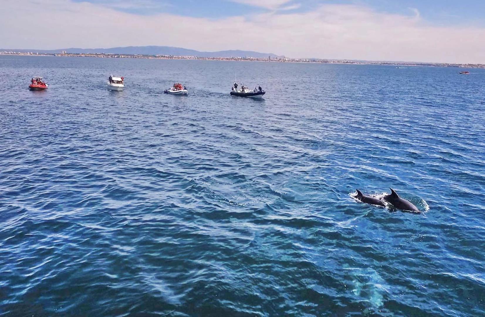 Venice By Algarve Vacation