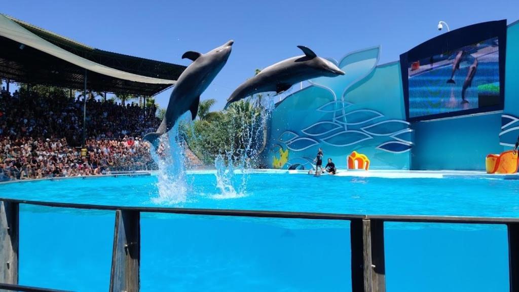 Homestay Charmoso A 300m Da De Olhos De Agua !