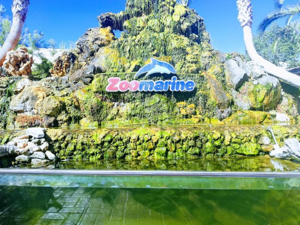 Homestay Charmoso A 300m Da De Olhos De Agua ! *