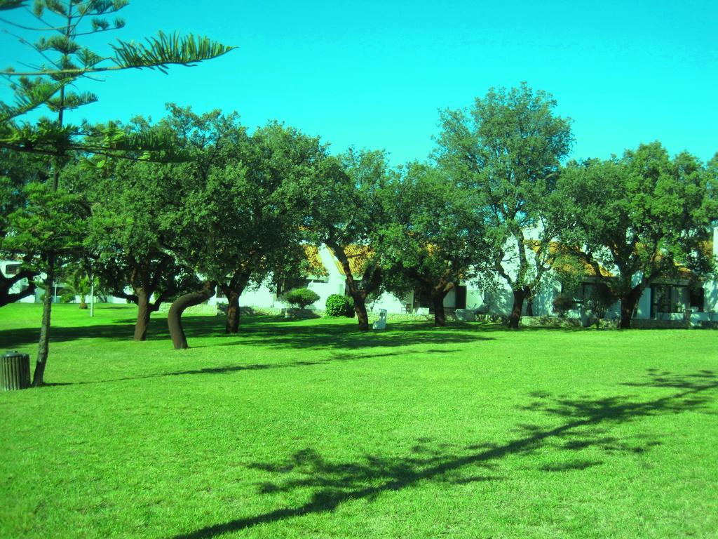 Da Oura