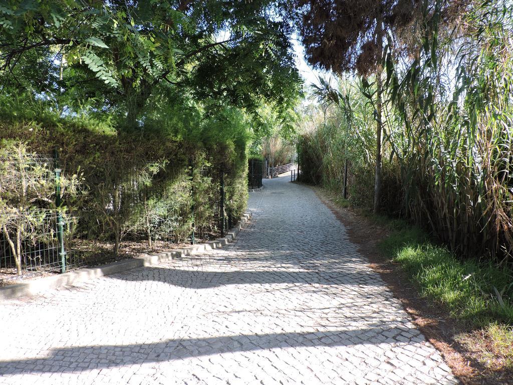Quinta Do Algarve Villa *
