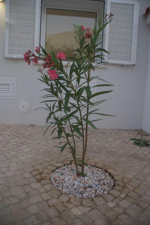 Alfamar2108