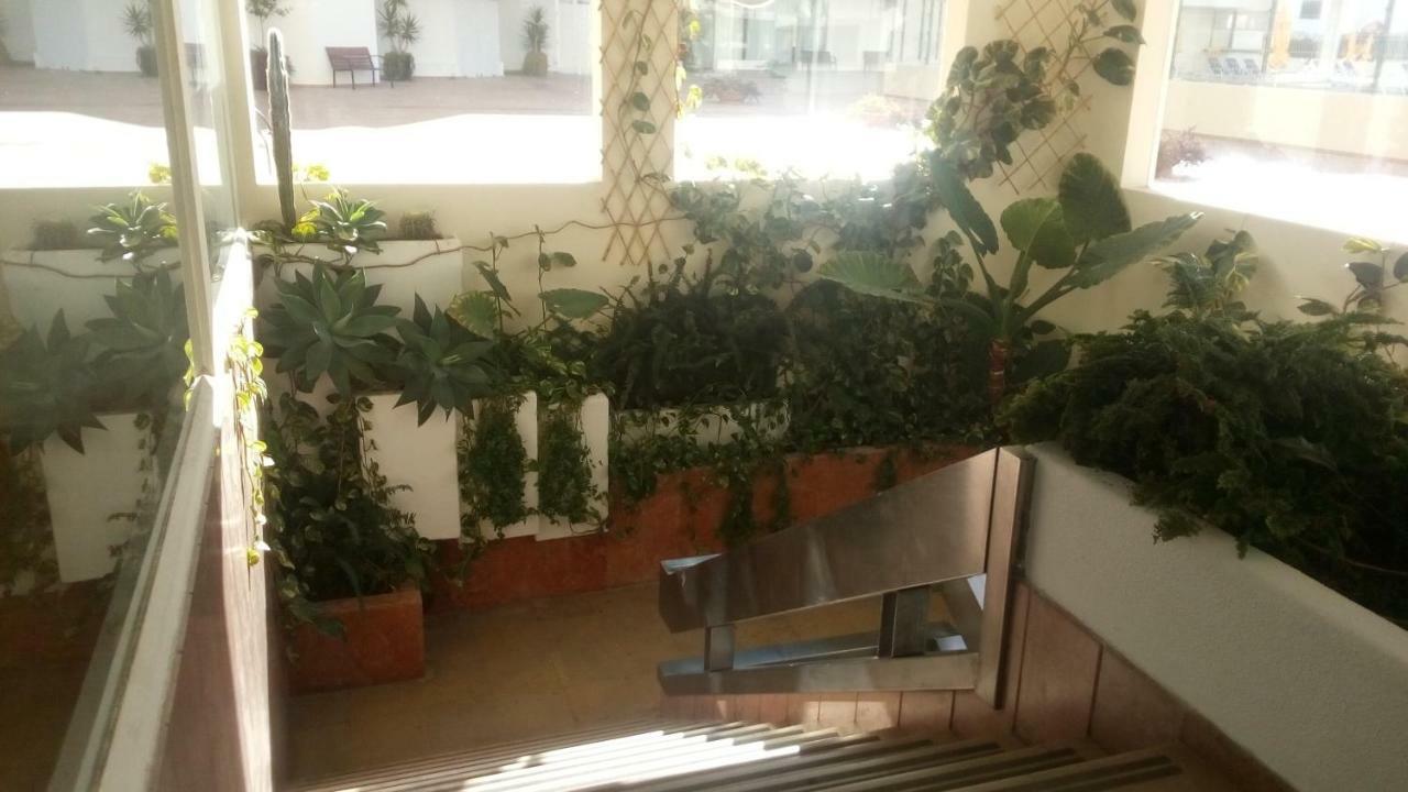 Vila Magna Casa Ferreirinha Apartment
