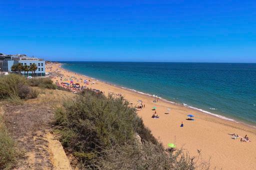 Rosa H7a * Albufeira